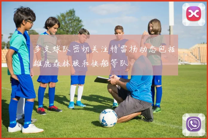 多支球队密切关注特雷杨动态包括雄鹿森林狼和快船等队