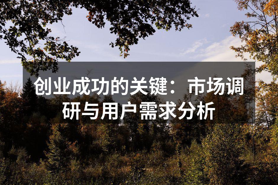 创业成功的关键：市场调研与用户需求分析