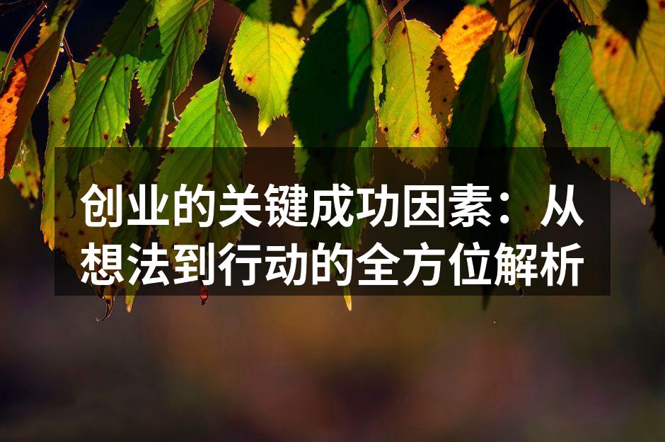 创业的关键成功因素：从想法到行动的全方位解析